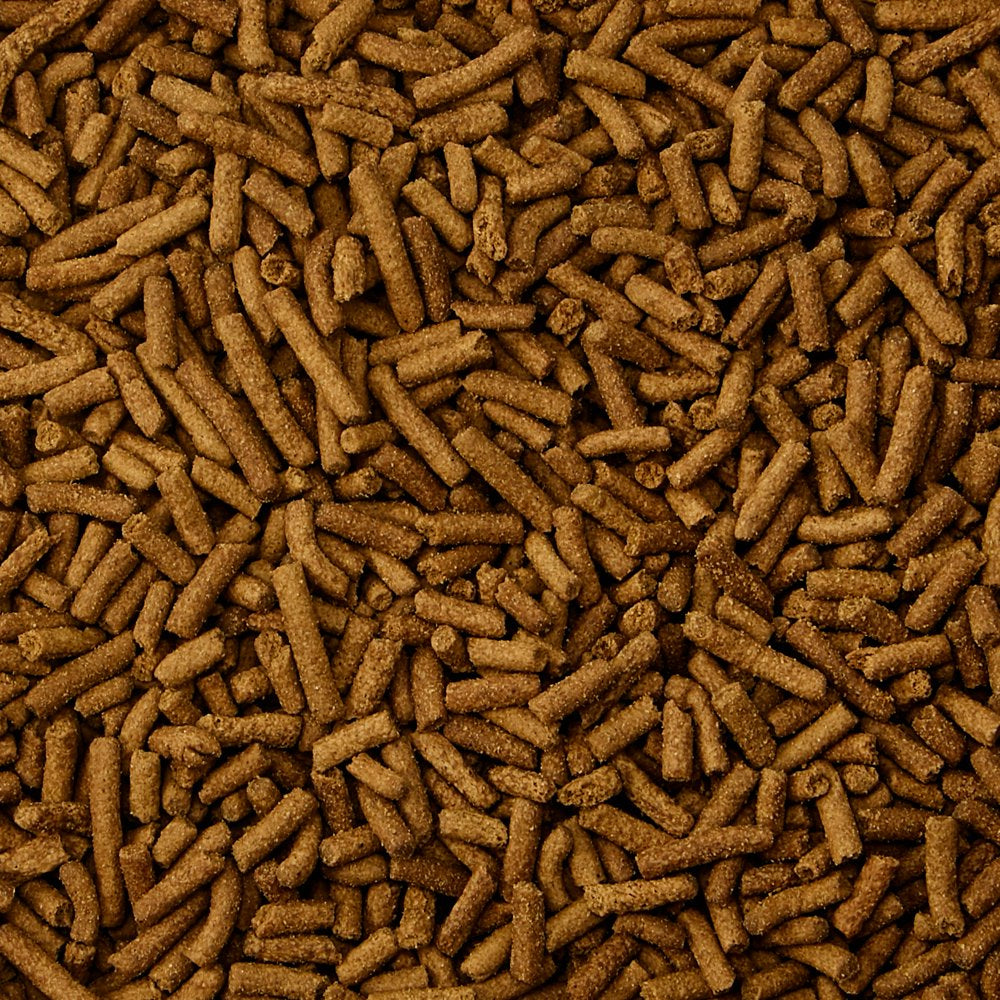 Kaytee Ferret Diet -- Chicken 4 Lb Animals & Pet Supplies > Pet Supplies > Small Animal Supplies > Small Animal Food Central Garden and Pet   