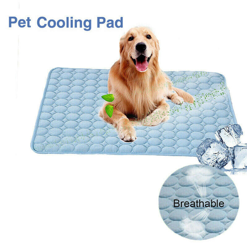 Pet Cooling Mat Cool Pad Comfortable Cushion Bed for Summer Dog Cat Puppy,4 Sizes Animals & Pet Supplies > Pet Supplies > Cat Supplies > Cat Beds Magicfly   