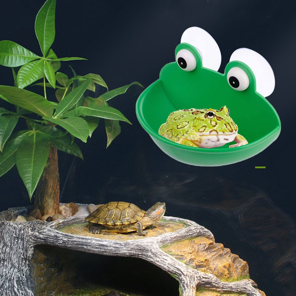 Mybeauty Reptile Feeder with Suction Cup Pet Landscaping Plastic Frog Tortoise Amphibian Rest Living Container Pet Supplies Animals & Pet Supplies > Pet Supplies > Reptile & Amphibian Supplies > Reptile & Amphibian Food MyBeauty   