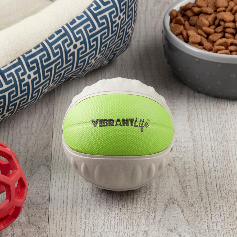 Vibrant Life Fetch Buddy Interactive Ball Dog Fetch Toy, Color May Vary, Medium, Chew Level 3 Animals & Pet Supplies > Pet Supplies > Dog Supplies > Dog Toys Wal-Mart Stores, Inc.   