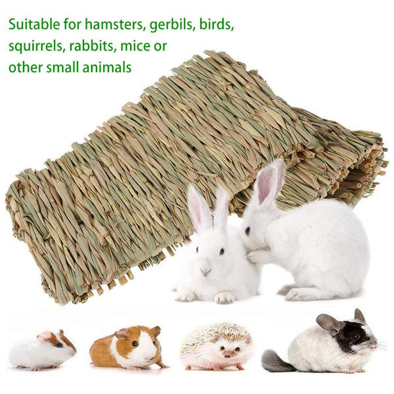 THREN 4Pack Rabbit Bunny Mat Grass Mats Natural Straw Woven Rabbits Safe & Edible Mats Cages Chew Toys Bed for Small Animal Guinea Pig Parrot Rabbit Bunny Hamster Animals & Pet Supplies > Pet Supplies > Small Animal Supplies > Small Animal Bedding THRENS   