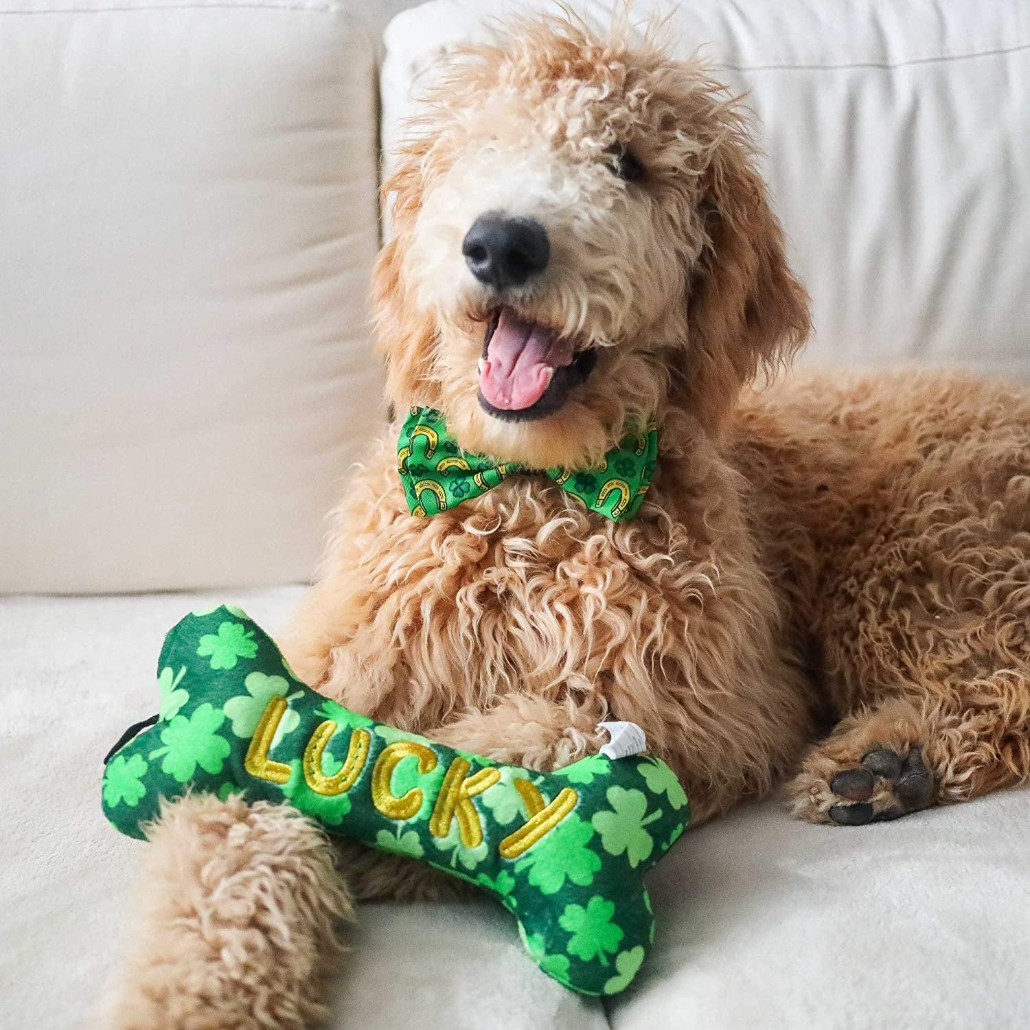Lulubelles Huxley & Kent St. Patrick'S Day Dog Bundle | Large | Lucky Charm Bone & Bow Tie | Dog Toy and Collar Attachment Holiday Bundle