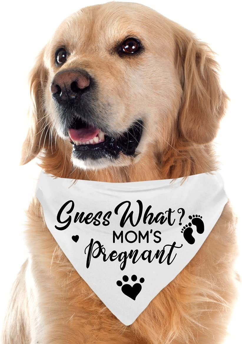 Guess What? My Mom Is Pregnant, Pregnancy Announcement Dog Bandana, Gender Reveal Photo Prop Pet Scarf Decorations Accessories, Pet Accessories for Dog Lovers, Pack of 2 Animals & Pet Supplies > Pet Supplies > Dog Supplies > Dog Apparel Yangmics Direct   