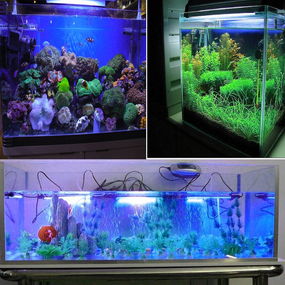 DONGPAI Submersible LED Aquarium Light, Fish Tank Light with Timer Auto On/Off White & Blue 3 Light Modes LED Light Bar for Fish Tank Animals & Pet Supplies > Pet Supplies > Fish Supplies > Aquarium Lighting DONGPAI   