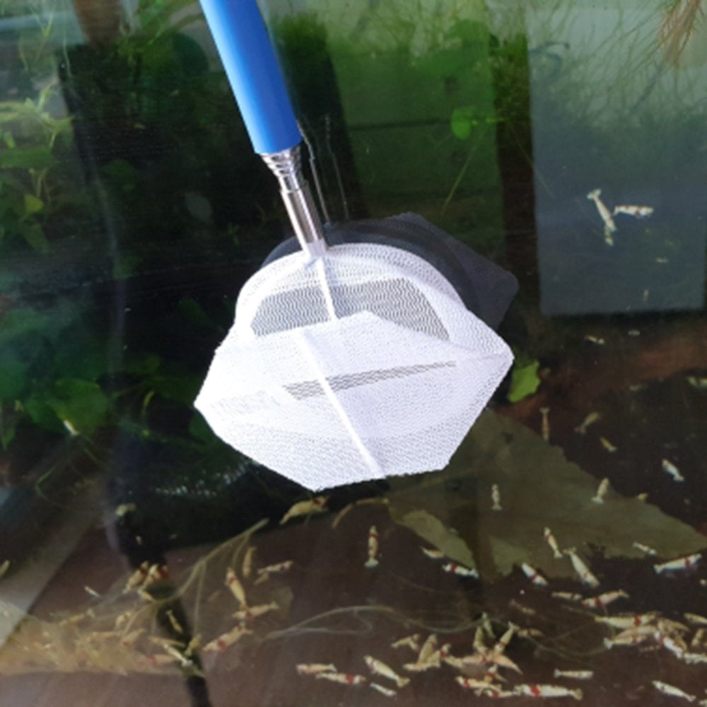 Retractable 3D Round/Square Fishing Net Stainless Steel Rod Aquarium Small Fish Catching Net Random Color Animals & Pet Supplies > Pet Supplies > Fish Supplies > Aquarium Fish Nets Hi.FANCY   
