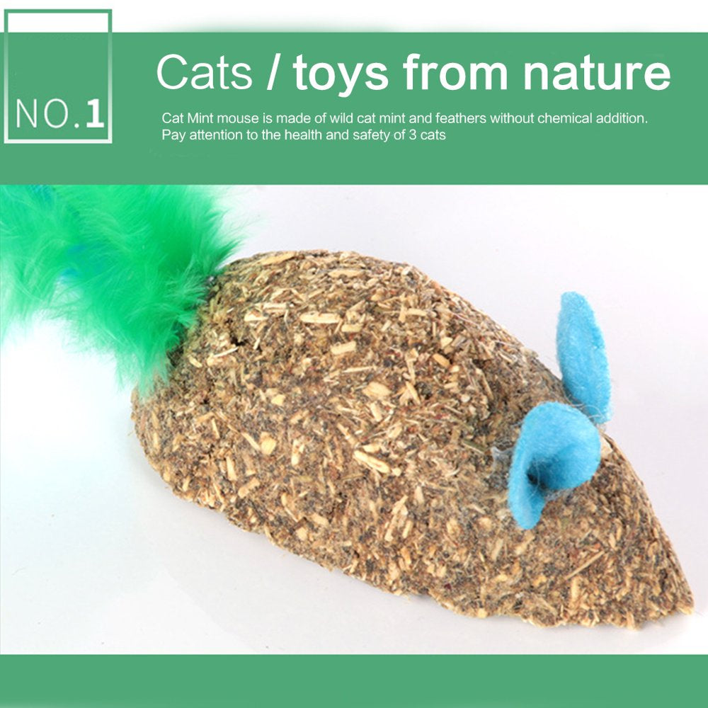 Edible Kitty Toys for Cats Teeth Cleaning Natural Safe Healthy Treats Toys Gift