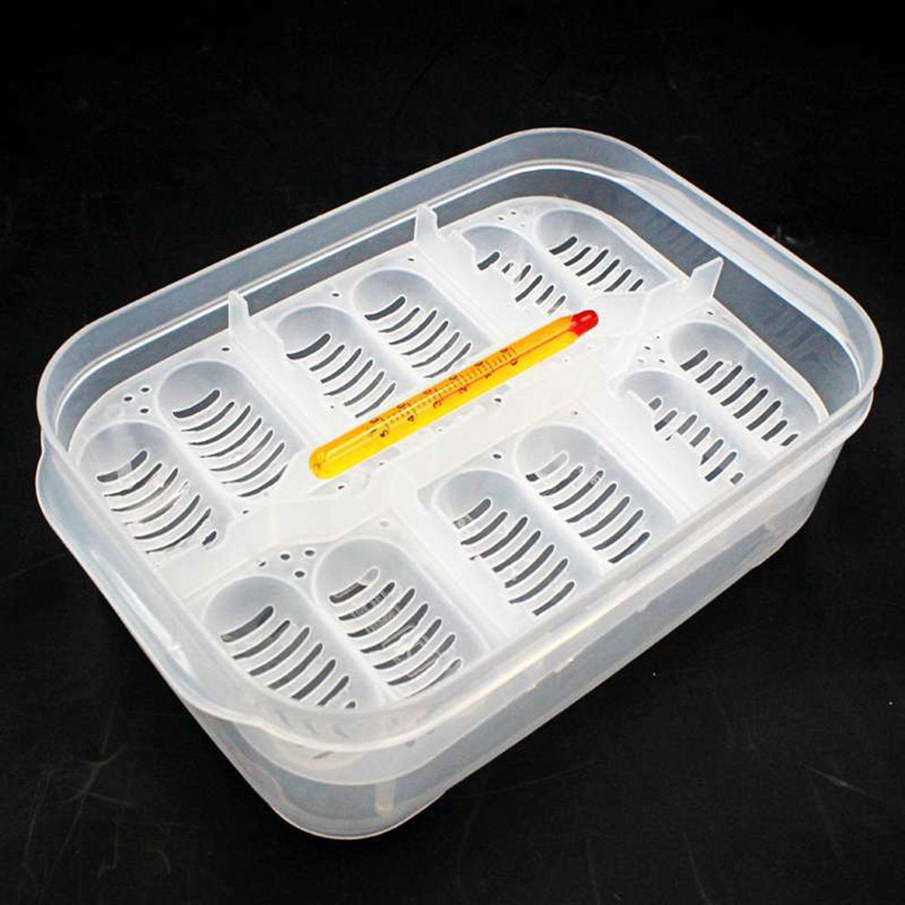 Reptile Dedicated Incubator 12 Grids Egg Hatcher Box with Thermometer Transparent Amphibians Hatching Tray