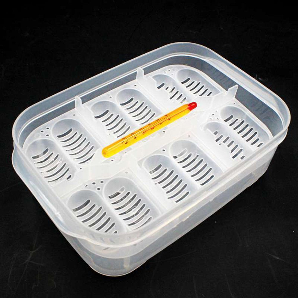 Reptile Dedicated Incubator 12 Grids Egg Hatcher Box with Thermometer Transparent Amphibians Hatching Tray Animals & Pet Supplies > Pet Supplies > Reptile & Amphibian Supplies > Reptile & Amphibian Substrates MODERN HOMEZIE   