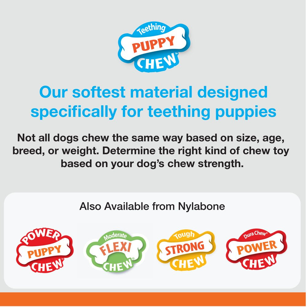 Nylabone Classic Puppy Chew Flavored Durable Dog Chew Toy Bones X-Small/Petite (2 Count) Animals & Pet Supplies > Pet Supplies > Dog Supplies > Dog Toys Central Garden and Pet   