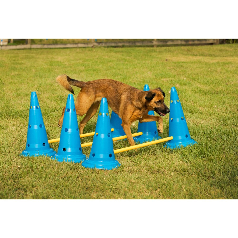 Midlee Dog Cone & Pole Agility Set- Adjustable Big to Small Dogs- Set of 3 Animals & Pet Supplies > Pet Supplies > Dog Supplies > Dog Treadmills Midlee   