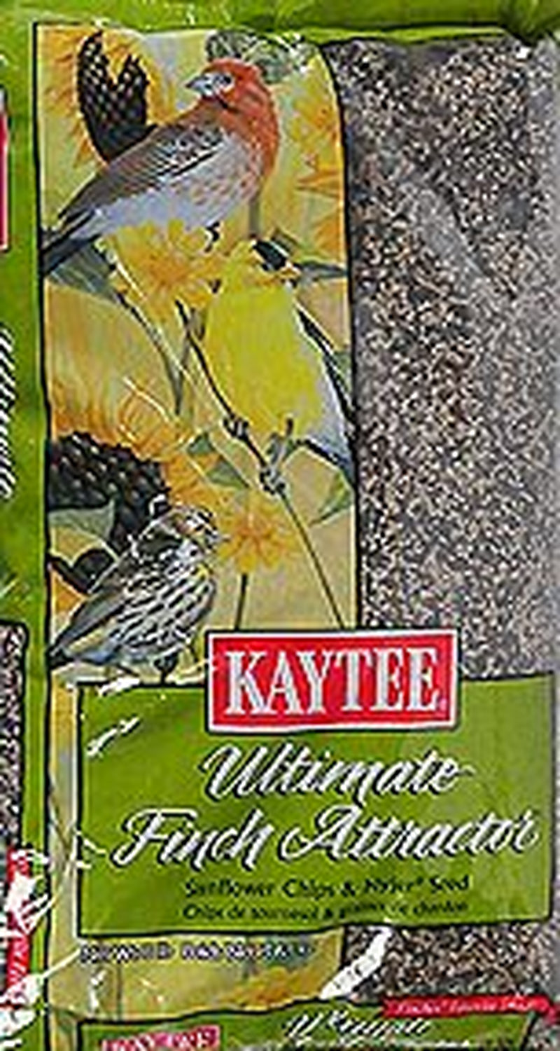 Kaytee Waste Free Finch Bird Seed Blend, 8-Pound Animals & Pet Supplies > Pet Supplies > Bird Supplies > Bird Food Kaytee Products Inc   