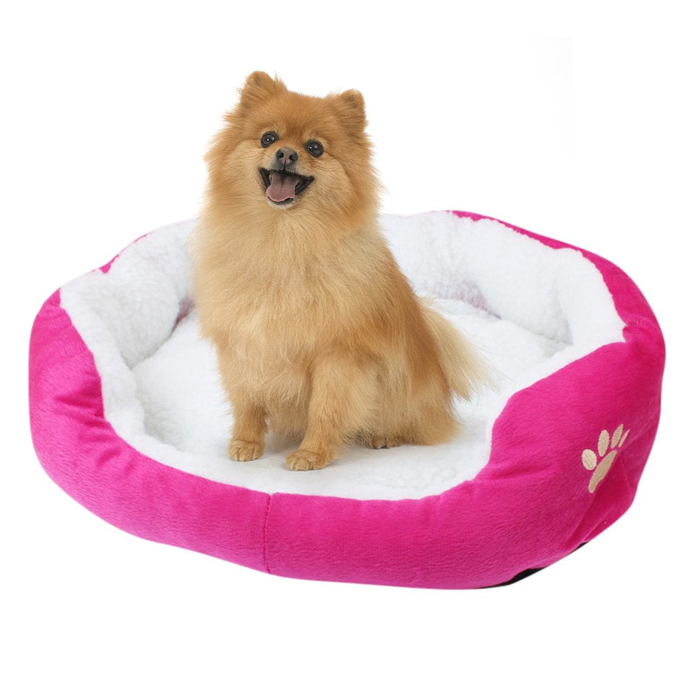 Pet Bed, Self-Warming Indoor Puppy Cushion Doghouse Soft Fleece Pet Dog Cat Bed Indoor Pillow Cuddler for Small Dogs and Cats (19.68*15.75In) Animals & Pet Supplies > Pet Supplies > Cat Supplies > Cat Beds Oxodoi Hot Pink  