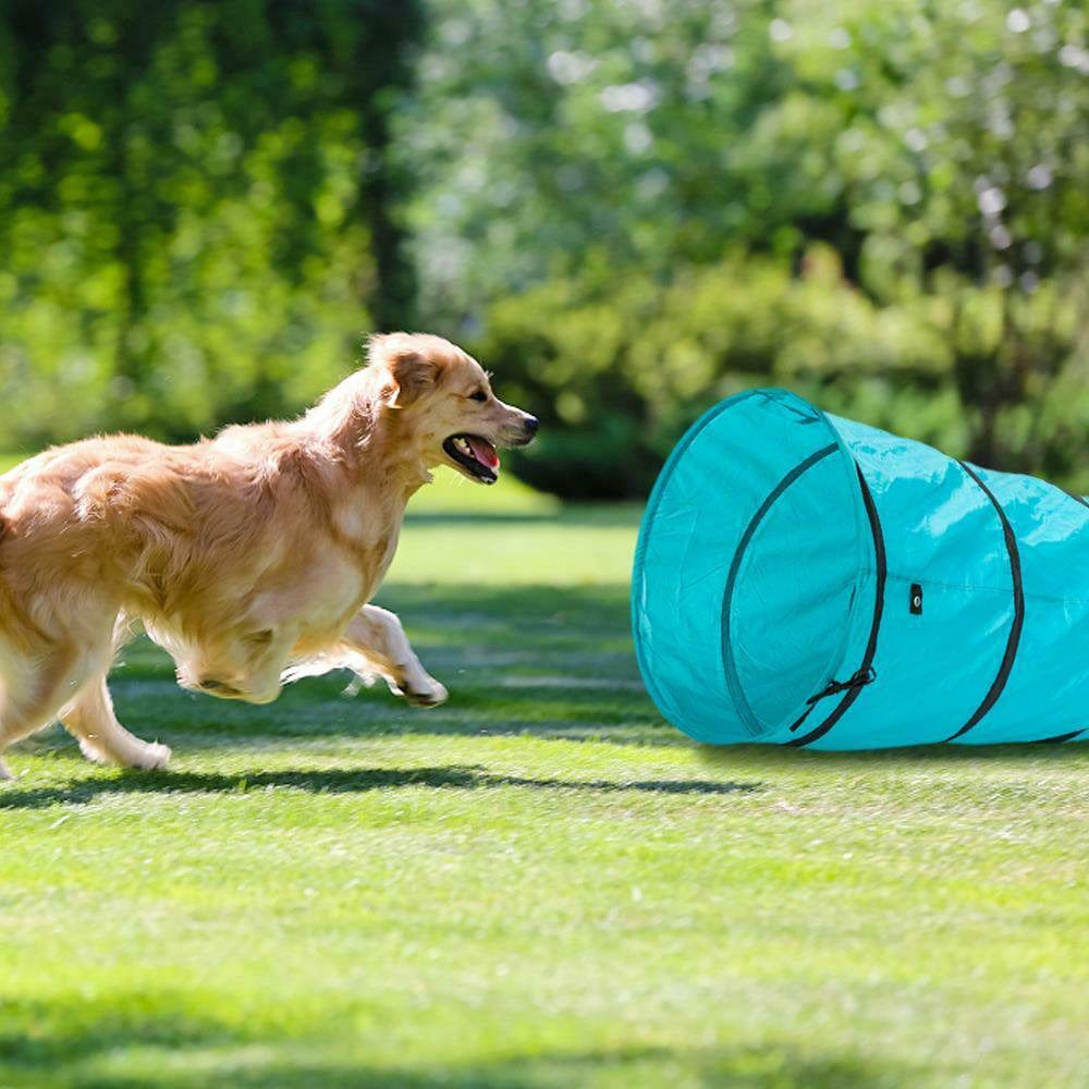 18' Agility Training Tunnel Pet Dog Play Outdoor Obedience Exercise Equipment Blue Animals & Pet Supplies > Pet Supplies > Dog Supplies > Dog Treadmills Goorabbit   