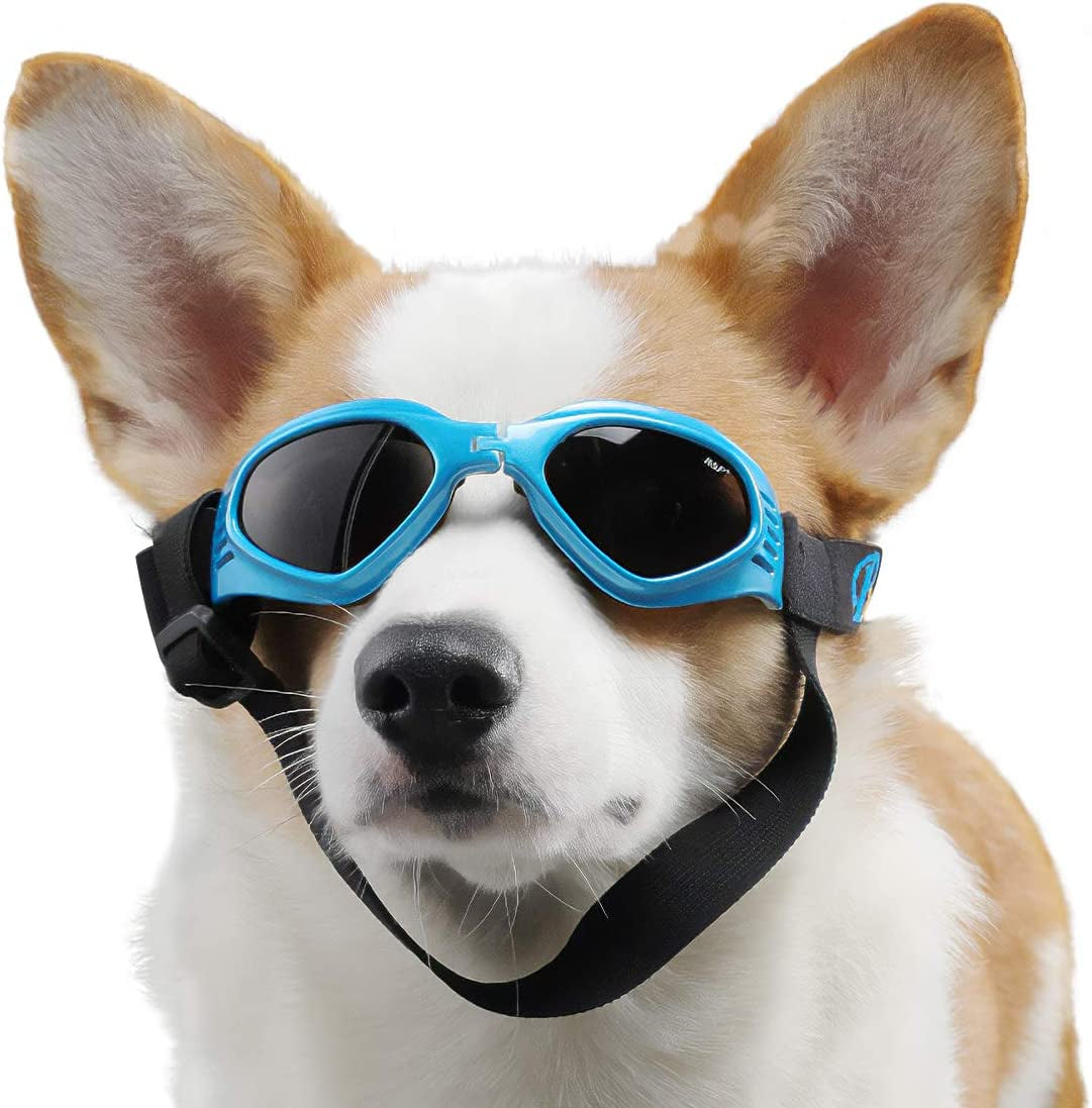 PEDOMUS Dog Goggles Small Dog Sunglasses Adjustable Strap for UV Sunglasses Waterproof Protection for Dogs (Black) Animals & Pet Supplies > Pet Supplies > Dog Supplies > Dog Apparel PEDOMUS BLUE  