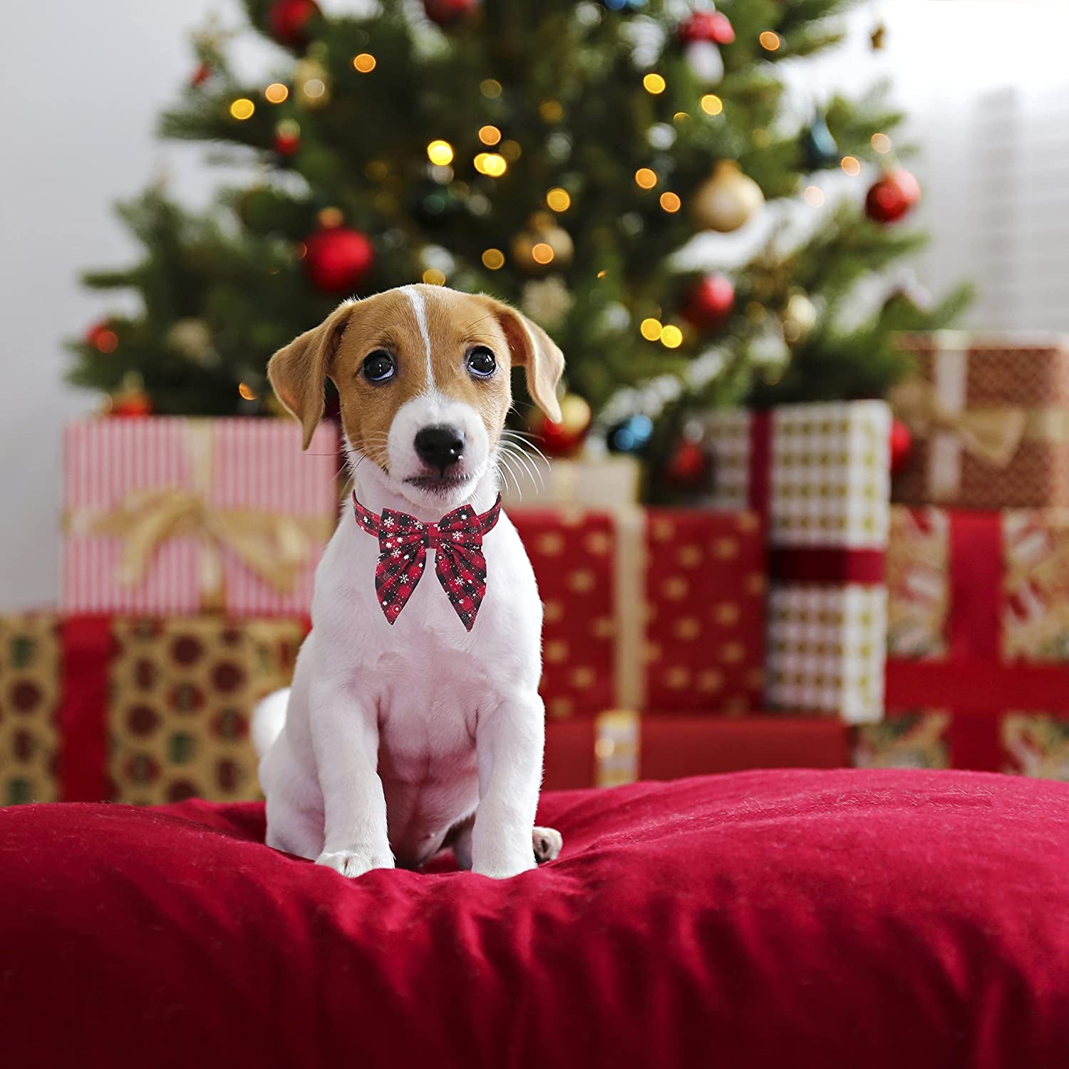 ADOGGYGO Christmas Dog Collar with Bow, Adjustable Cotton Red Bowtie Dog Christmas Collars for Small Medium Large Dogs Pets (Large, Black & Red) Animals & Pet Supplies > Pet Supplies > Dog Supplies > Dog Apparel ADOGGYGO   