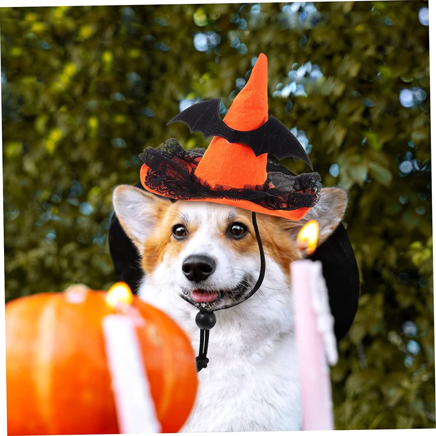 Balacoo Wizard Hat Adorable Decorative Costume for Props Witch Headgear Theme with Costumes Cute Supply Cone Lace Pet Dog Wear-Resistant Supplies Themed Hats Bat Black Pumpkin Funny Animals & Pet Supplies > Pet Supplies > Dog Supplies > Dog Apparel Balacoo   