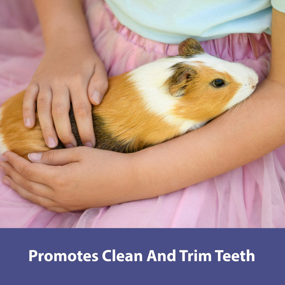 Kaytee Forti-Diet Apple Orchard Treat Sticks, 10 Count Animals & Pet Supplies > Pet Supplies > Small Animal Supplies > Small Animal Food Central Garden and Pet   