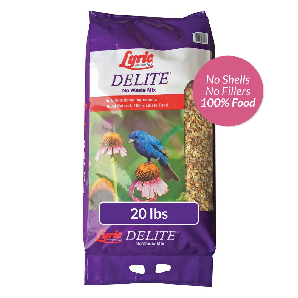 Lyric Delite Wild Bird Seed, No Waste Bird Food Mix with Shell-Free Nuts and Seeds, 5 Lb. Bag Animals & Pet Supplies > Pet Supplies > Bird Supplies > Bird Food Lebanon Seaboard Corporation 20 lbs  