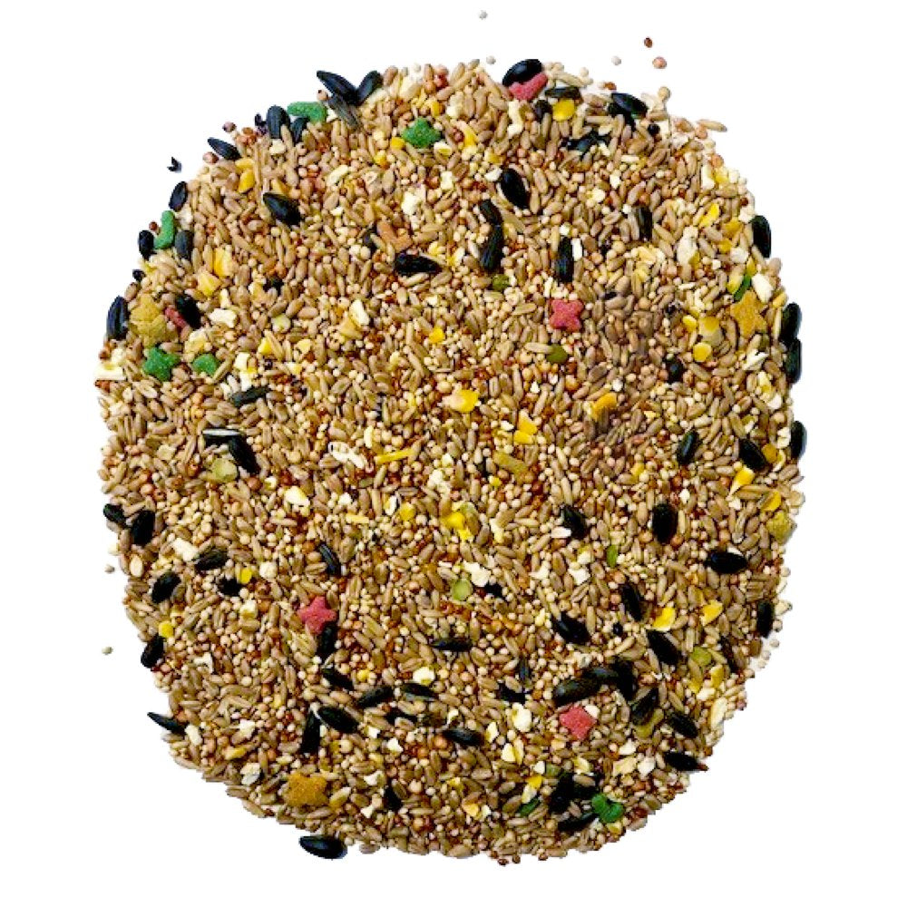 Pennington Medium Bird Blend Bird Food for Cockatiels, Love Birds; 3 Lb Bag Animals & Pet Supplies > Pet Supplies > Bird Supplies > Bird Food D & D Commodities   