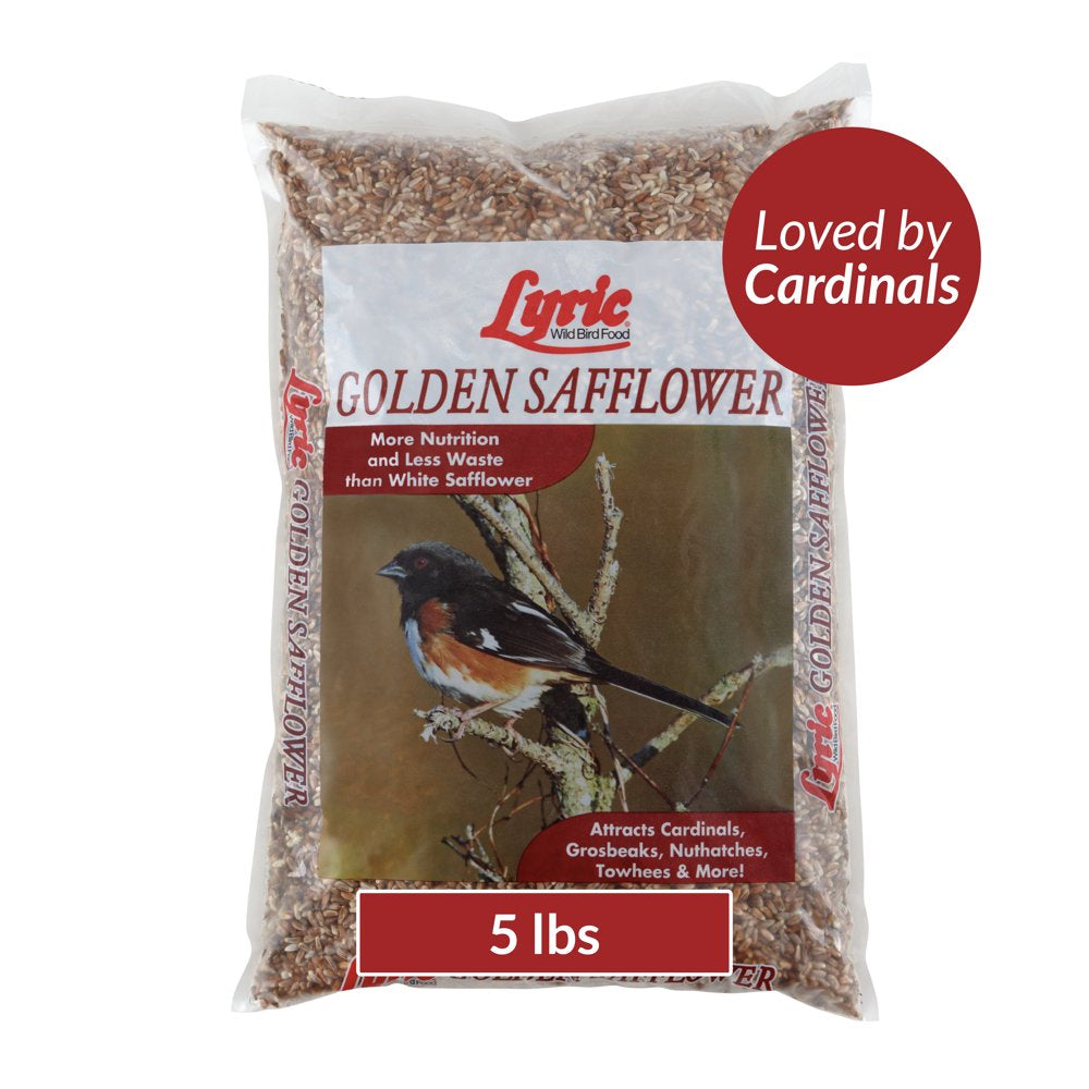 Lyric Golden Safflower Wild Bird Seed - Attracts Woodpeckers, Cardinals & Chickadees - 5 Lb Bag