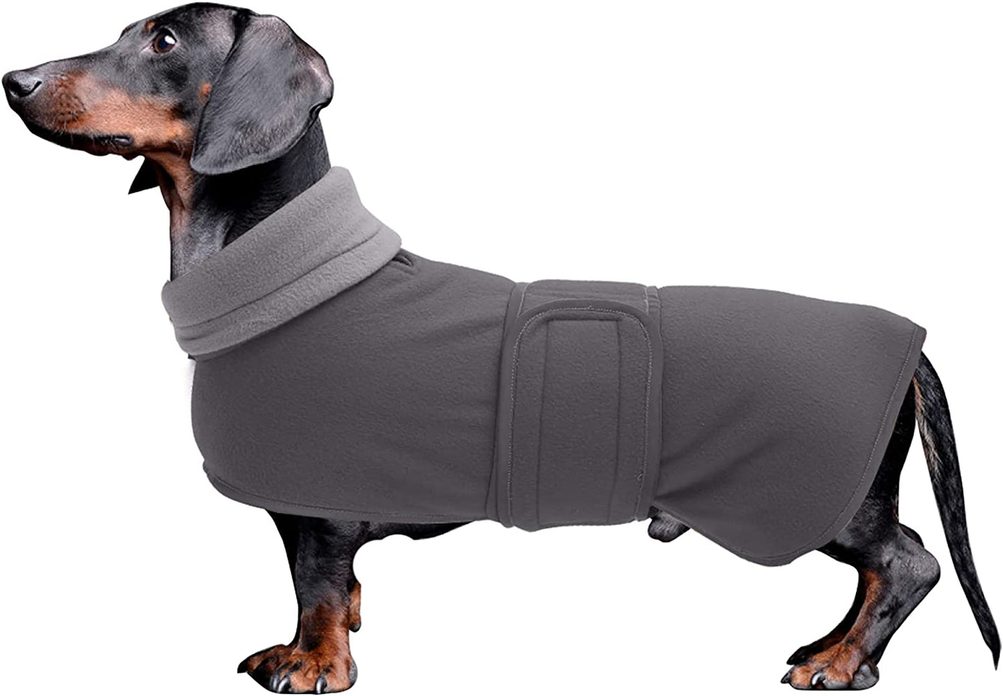 Dachshund Coats Sausage Dog Fleece Coat in Winter Miniature Dachshund Clothes with Hook and Loop Closure and High Vis Reflective Trim Safety - Red - S Animals & Pet Supplies > Pet Supplies > Dog Supplies > Dog Apparel Morezi Gray Large(Back: 19"-20"in) 