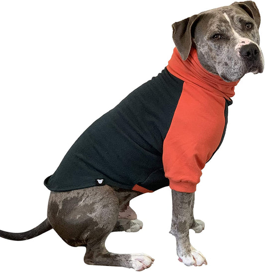 Tooth and Honey Dog Sweater/Pitbull Large Dog Sweater/Dog Sweatshirt/Dark Green and Orange (X-Large) Animals & Pet Supplies > Pet Supplies > Dog Supplies > Dog Apparel Tooth & Honey X-Large  