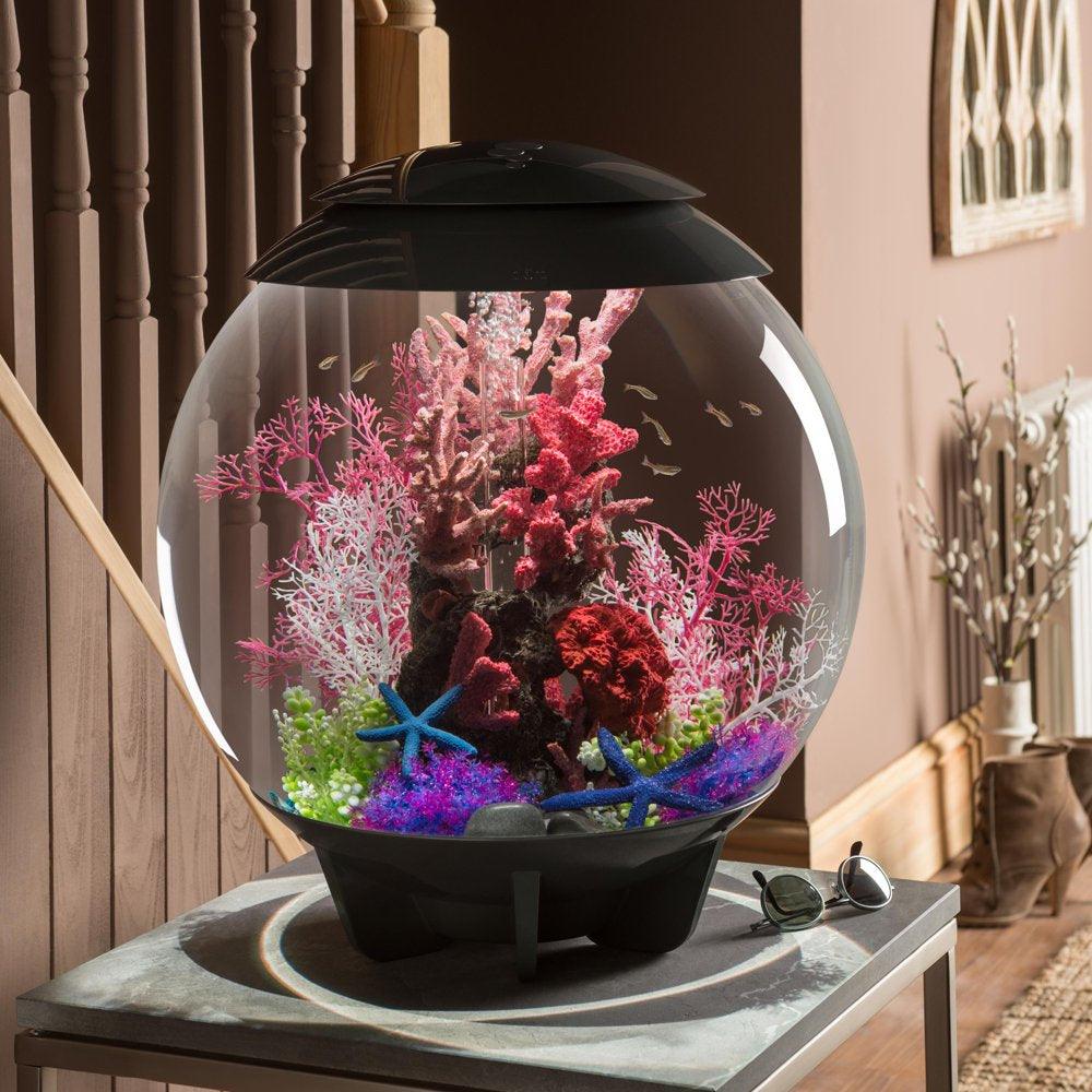 Biorb Aquarium Decorative Reef Sculpture, Red Animals & Pet Supplies > Pet Supplies > Fish Supplies > Aquarium Decor Oase   