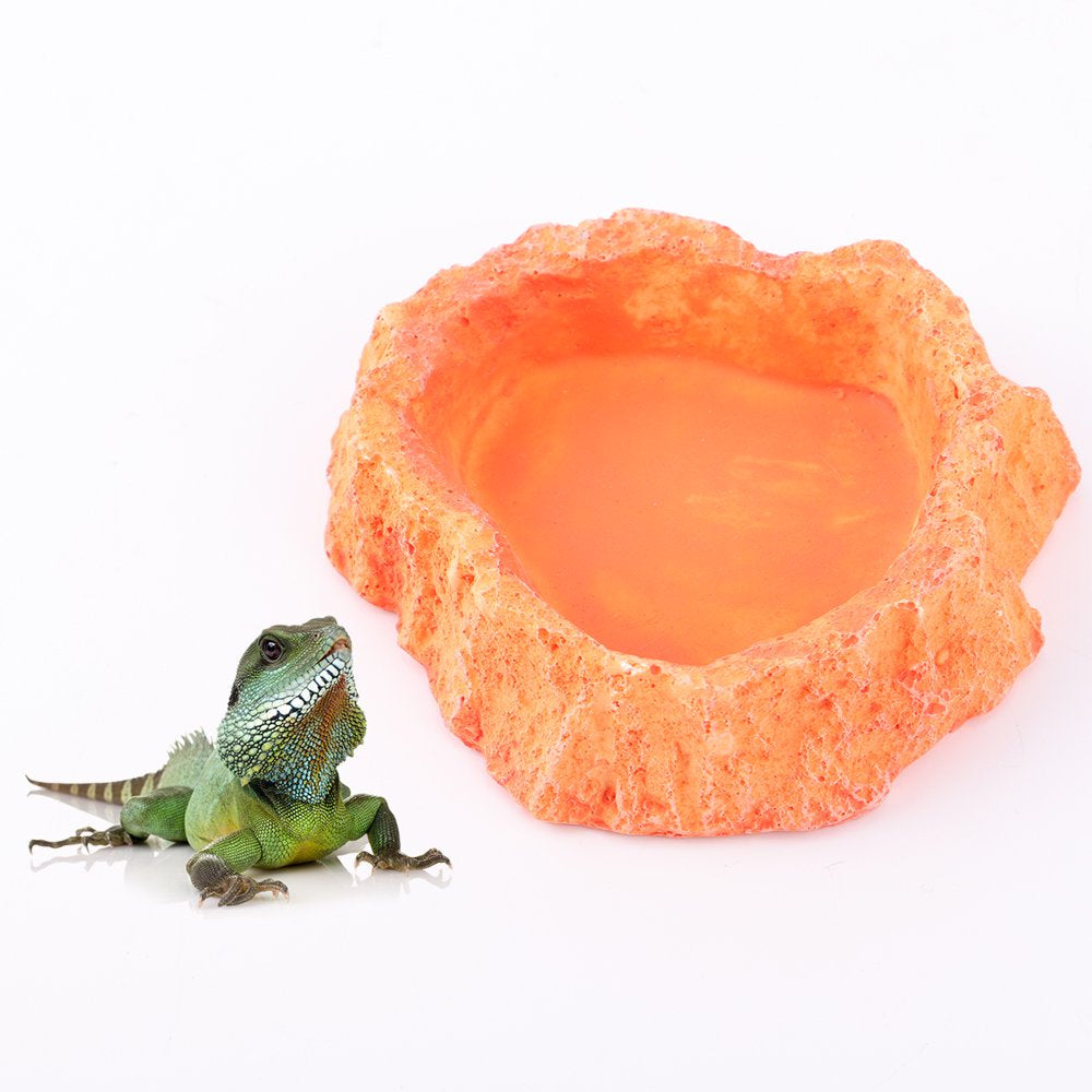 Bowl Dish Reptile Water Lizard Food Feeder Worm Supplies Amphibian Snake Tortoise Dishes Animal Small Gecko Feeding Cup Animals & Pet Supplies > Pet Supplies > Reptile & Amphibian Supplies > Reptile & Amphibian Food HOMEMAXS   