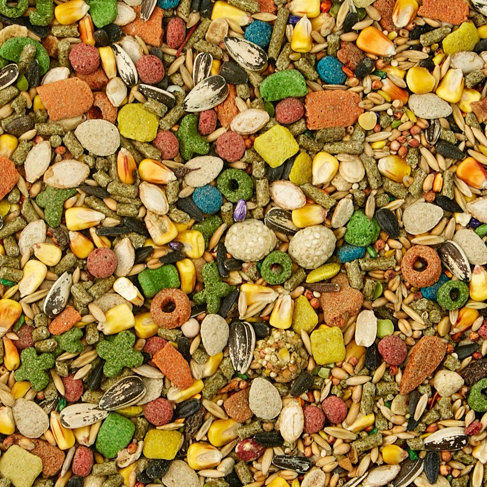 Kaytee Fiesta Hamster and Gerbil Food 4.5 Lb, Fortified Gourmet Diet Animals & Pet Supplies > Pet Supplies > Small Animal Supplies > Small Animal Food Central Garden and Pet   