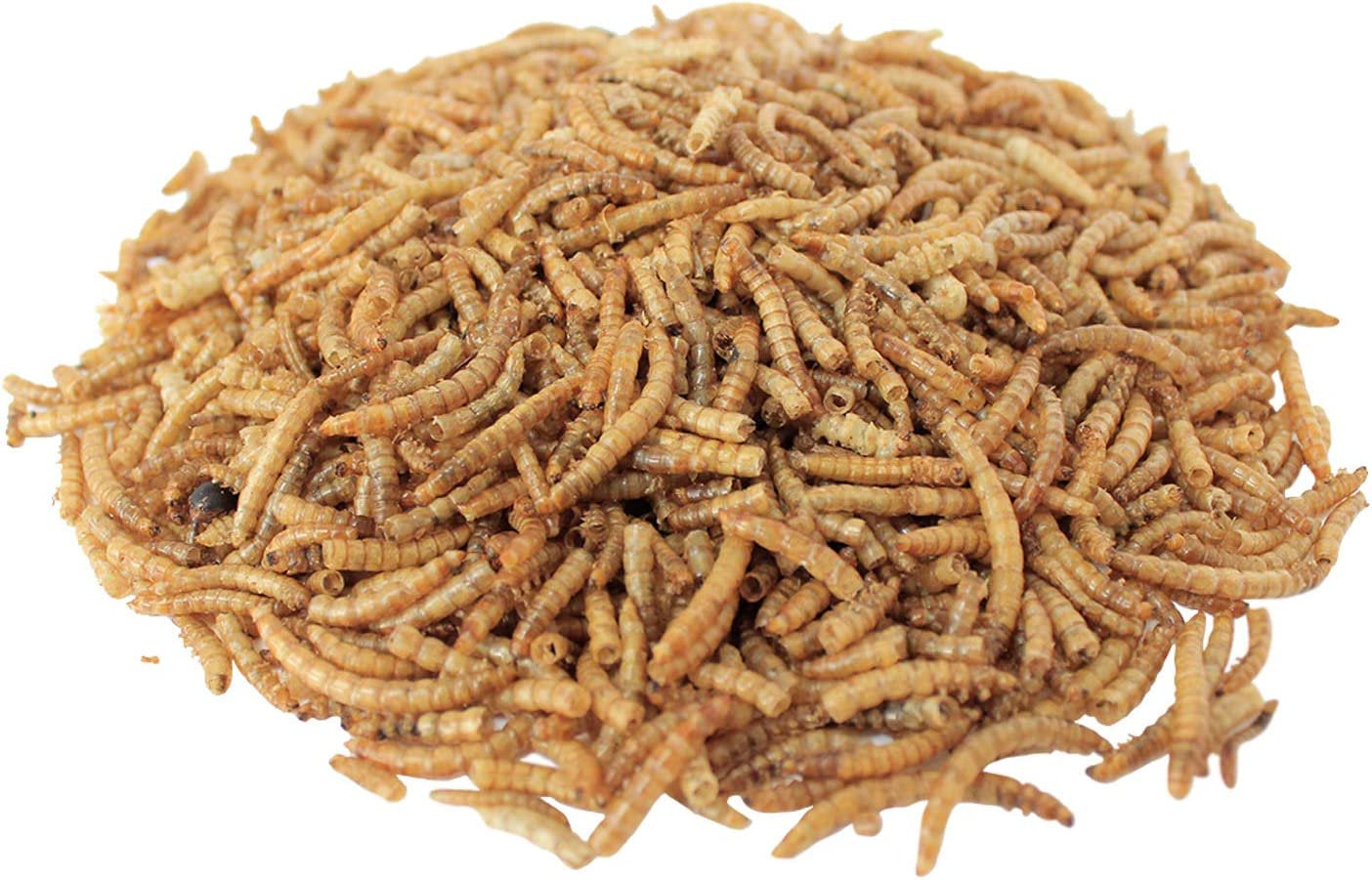 Downtown Pet Suppl Mealworms - Rich in Vitamin B12, B5, Protein, Fibre and Omega 3 Fatty Acids - Chicken, Duck and Bird Food - Reptile and Turtle Foo Animals & Pet Supplies > Pet Supplies > Bird Supplies > Bird Treats Downtown Pet Supply   