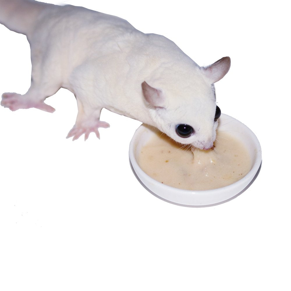 Instant-Hpw High Protein Sugar Glider Food 10 Lb. Animals & Pet Supplies > Pet Supplies > Small Animal Supplies > Small Animal Food Exotic Nutrition   