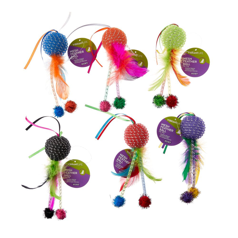 Vibrant Life Mesh Feather Ball Cat Toy, Color May Vary Animals & Pet Supplies > Pet Supplies > Cat Supplies > Cat Toys Multipet   