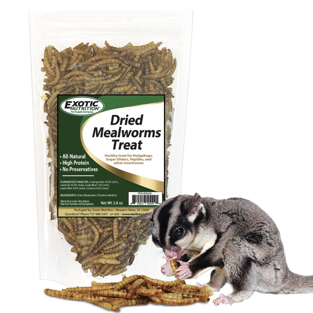 Exotic Nutrition Dried Mealworms Treat 1.41 Oz. Animals & Pet Supplies > Pet Supplies > Bird Supplies > Bird Treats Exotic Nutrition   