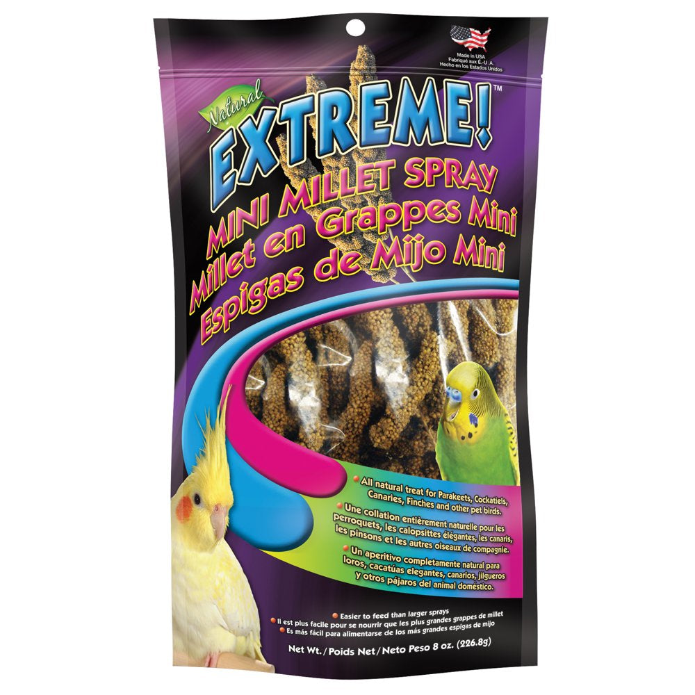 FM Browns Millet Cockatiel Bird Treats, 8 Oz. Bag Animals & Pet Supplies > Pet Supplies > Small Animal Supplies > Small Animal Food F.M. Brown's Sons, Inc.   