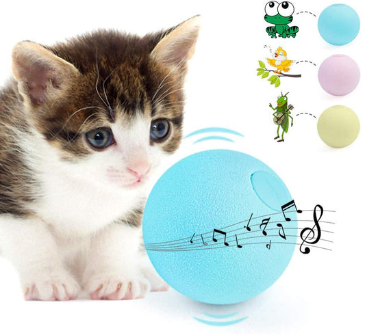 DOTSOG 3PCS Interactive Cat Toy Balls - Kitty Toys for Cats Smart Touch Realistic Chirping Sounds of Birds,Frogs and Crickets,Refillable Cat Nip Toys Stimulate Cats Hunting Instinc