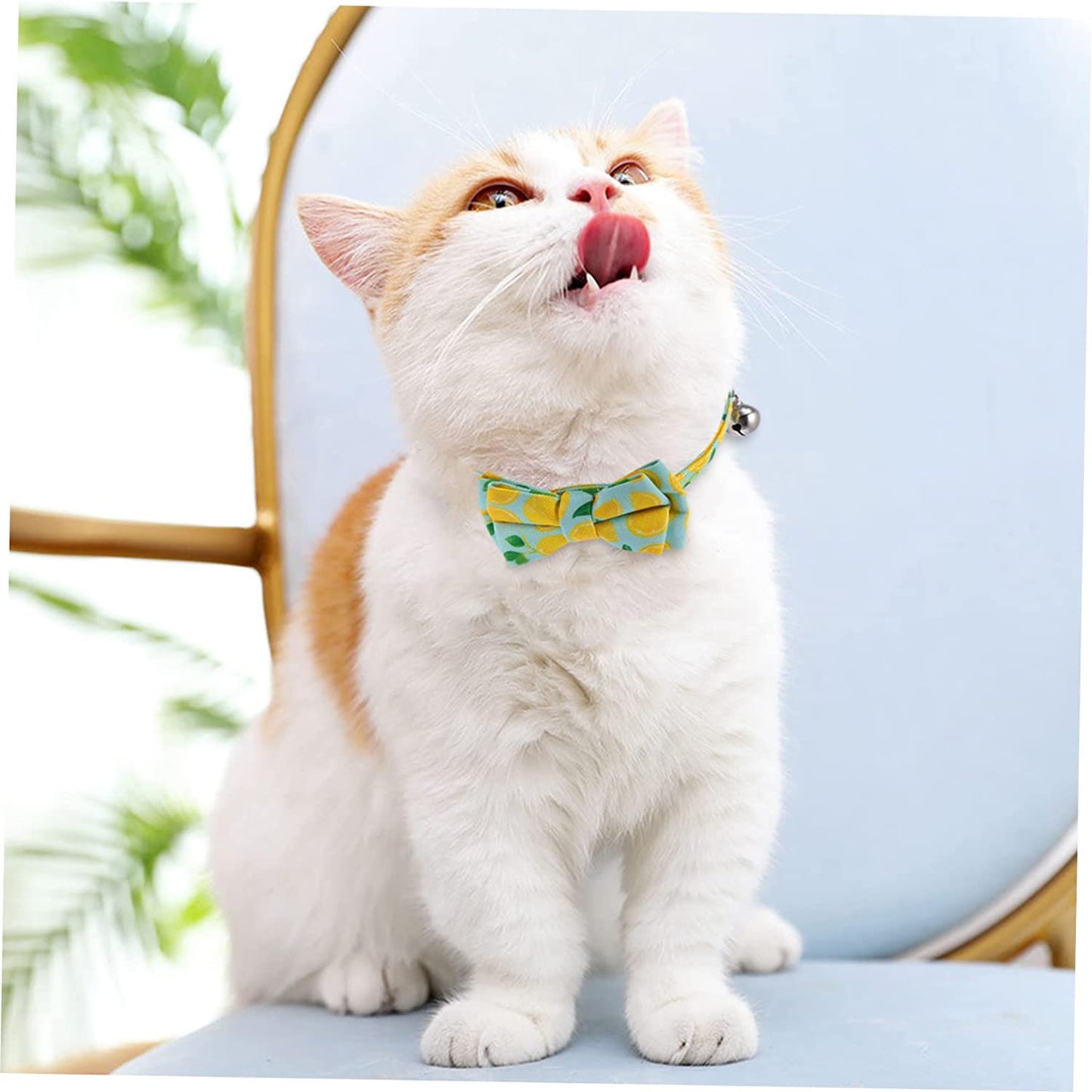 Generic 4 Pcs Pet Neck Neckchain Tie Puppy Cat Accessories Animals Bows Grooming Gift Collars Lovely Dog Fruit Pattern Puppies Bow Kitten Chain Bell Necklace Ties for with Collar Cute Animals & Pet Supplies > Pet Supplies > Dog Supplies > Dog Apparel generic   