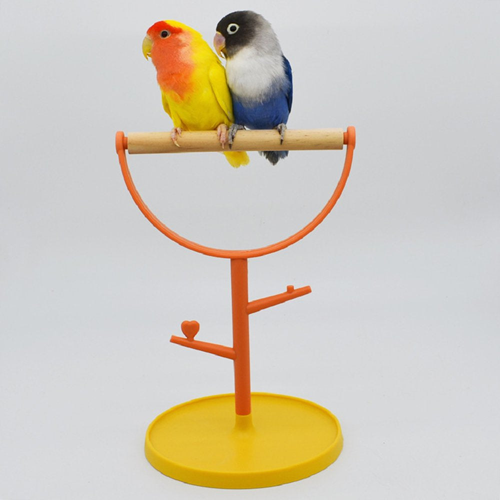 Small Bird Stand Perch Play Gym Cute Parrot Training Playstand Cage Accessories Animals & Pet Supplies > Pet Supplies > Bird Supplies > Bird Cage Accessories unahtinr   