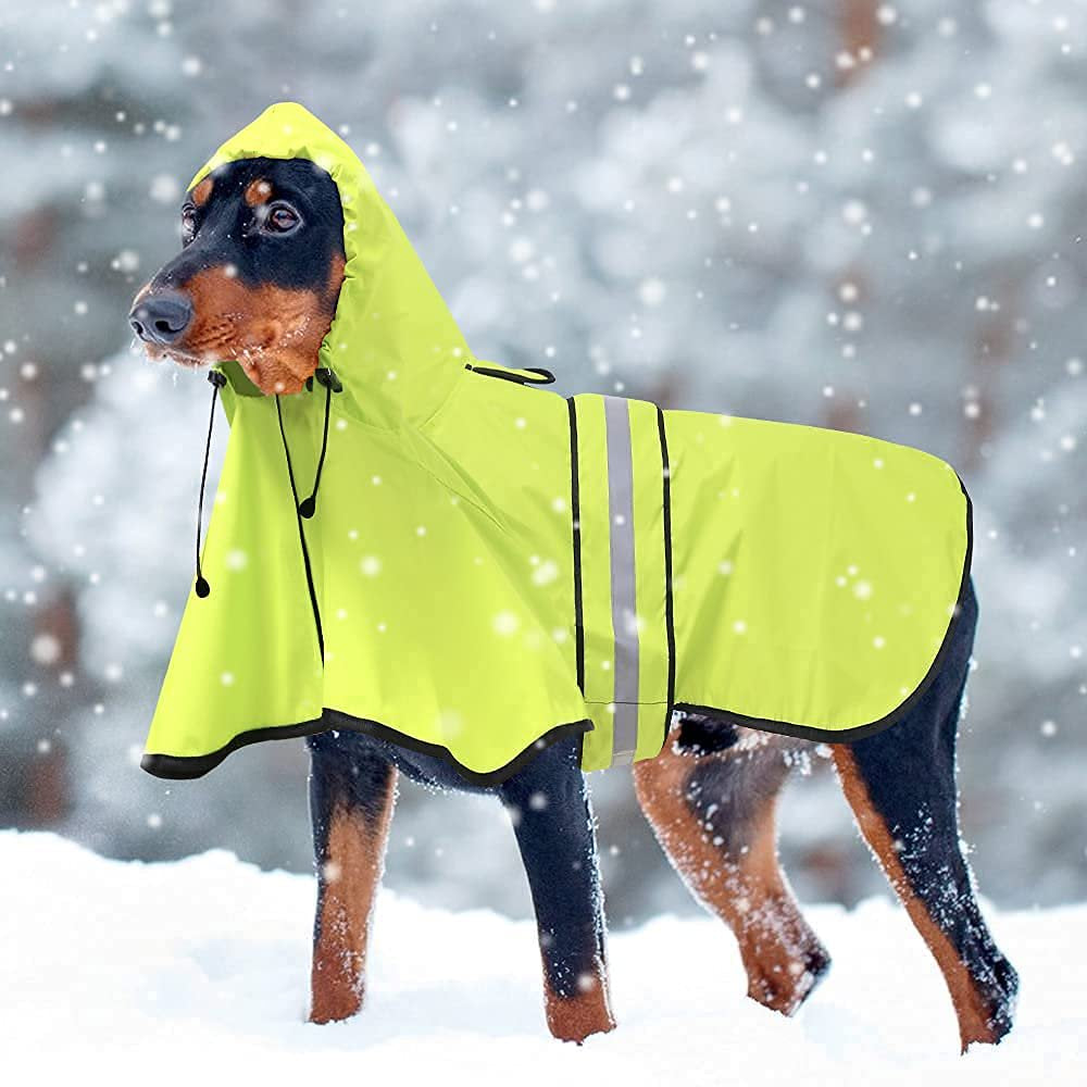 Bseen Dog Raincoat Hooded - Waterproof Reflective Pet Rain Jacket (Green, Large) Animals & Pet Supplies > Pet Supplies > Dog Supplies > Dog Apparel Dongguan Bison Sports Articles Co. Ltd.   