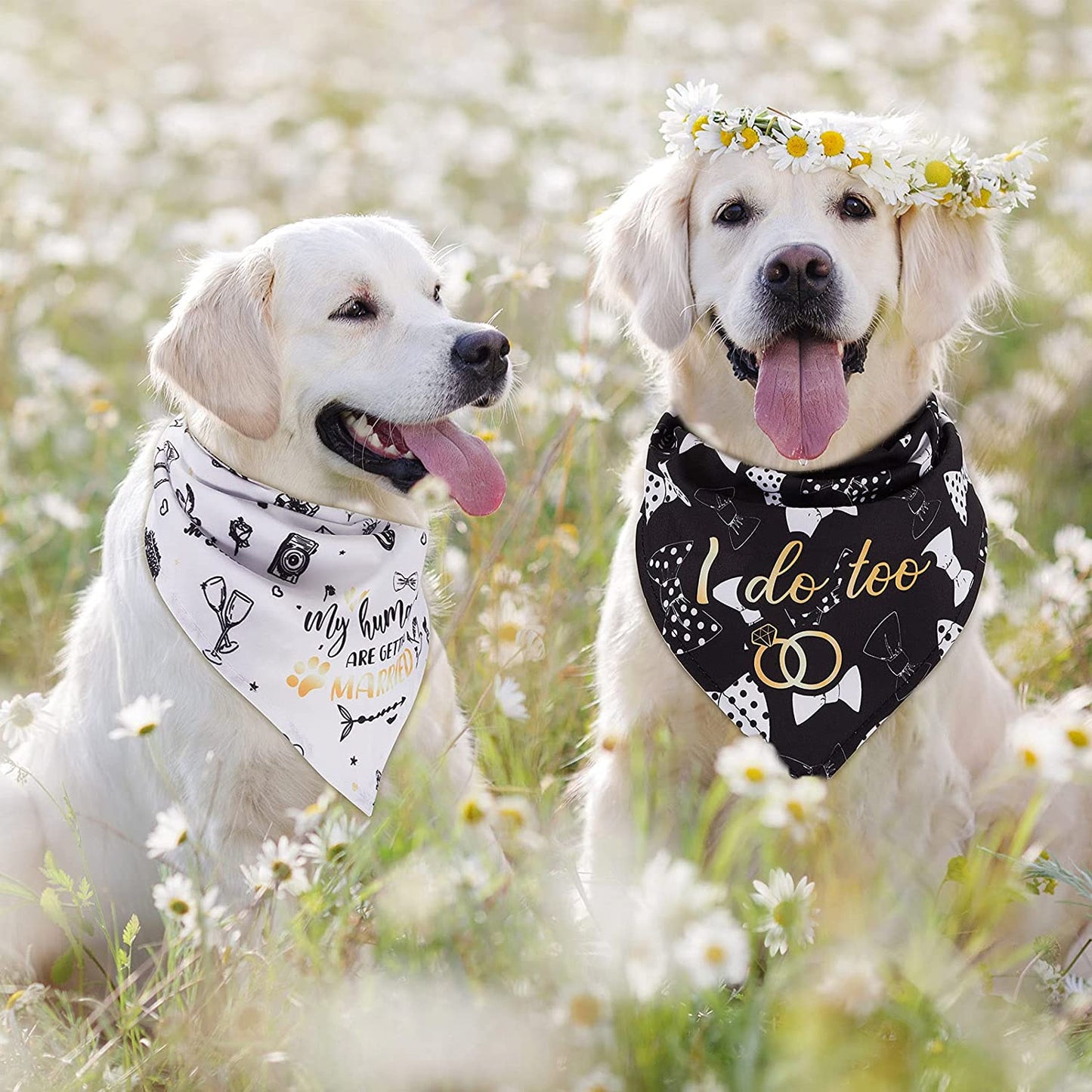 Frienda 4 Pieces Wedding Dog Bandana My Humans Are Getting Married Pet Bandana She Said Yes Dog Scarf Dog Engagement Announcement Pet Wedding Photo Prop for Dogs and Cats Animals & Pet Supplies > Pet Supplies > Dog Supplies > Dog Apparel Frienda   