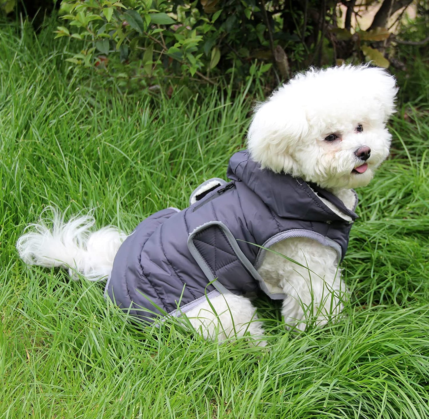 Joydaog Fleece Dog Hoodie for Medium Dogs Warm Puppy Jacket for Cold Winter Waterproof Dog Coats with Hood,Grey L Animals & Pet Supplies > Pet Supplies > Dog Supplies > Dog Apparel Qingwanke   