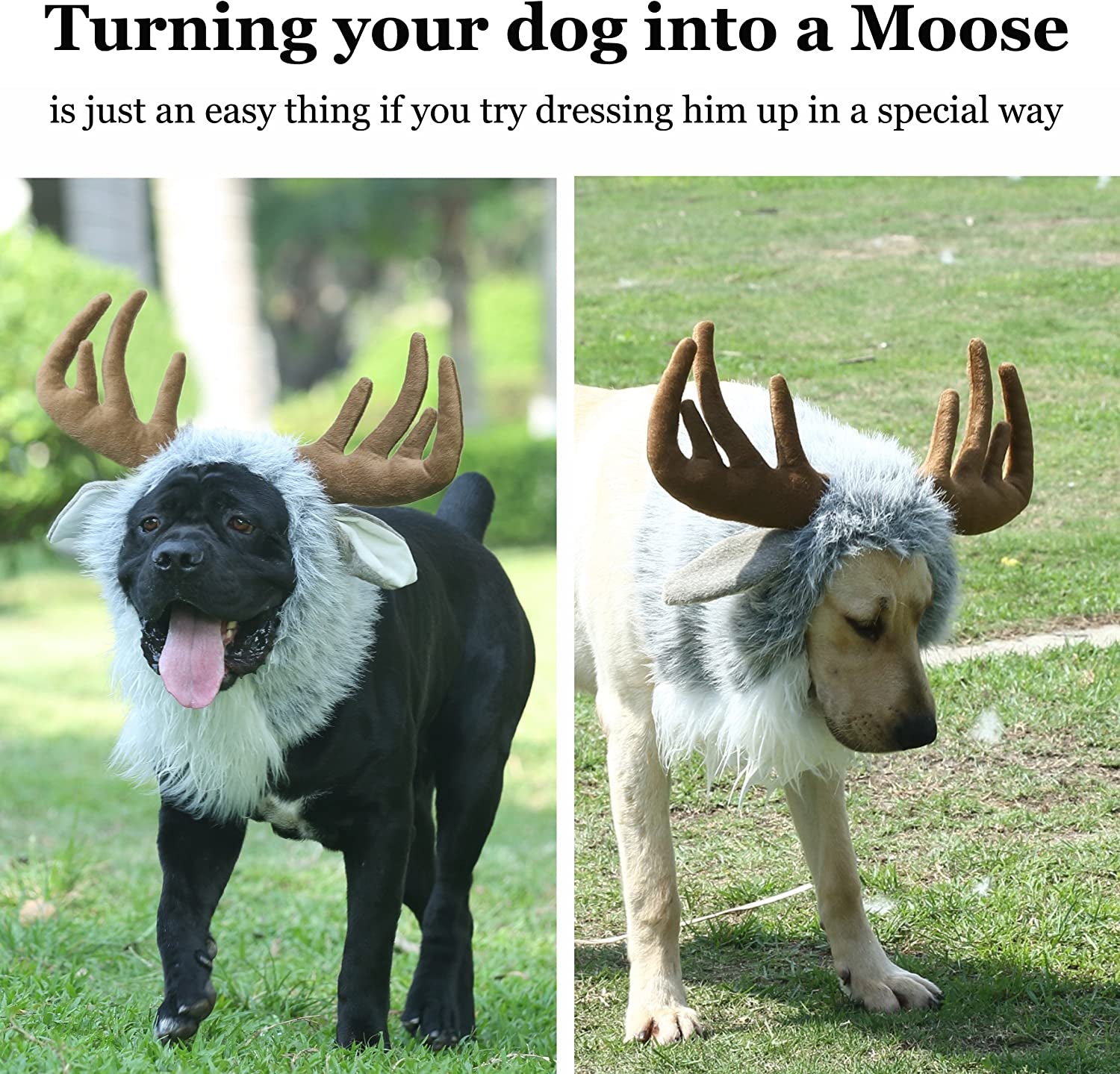 Onmygogo Funny Moose Costumes for Dog, Cute Furry Pet Wig for Halloween Christmas, Pet Clothing Accessories (Moose, Size L) Animals & Pet Supplies > Pet Supplies > Dog Supplies > Dog Apparel Shenzhen Animour Comercial and Trading Limited   