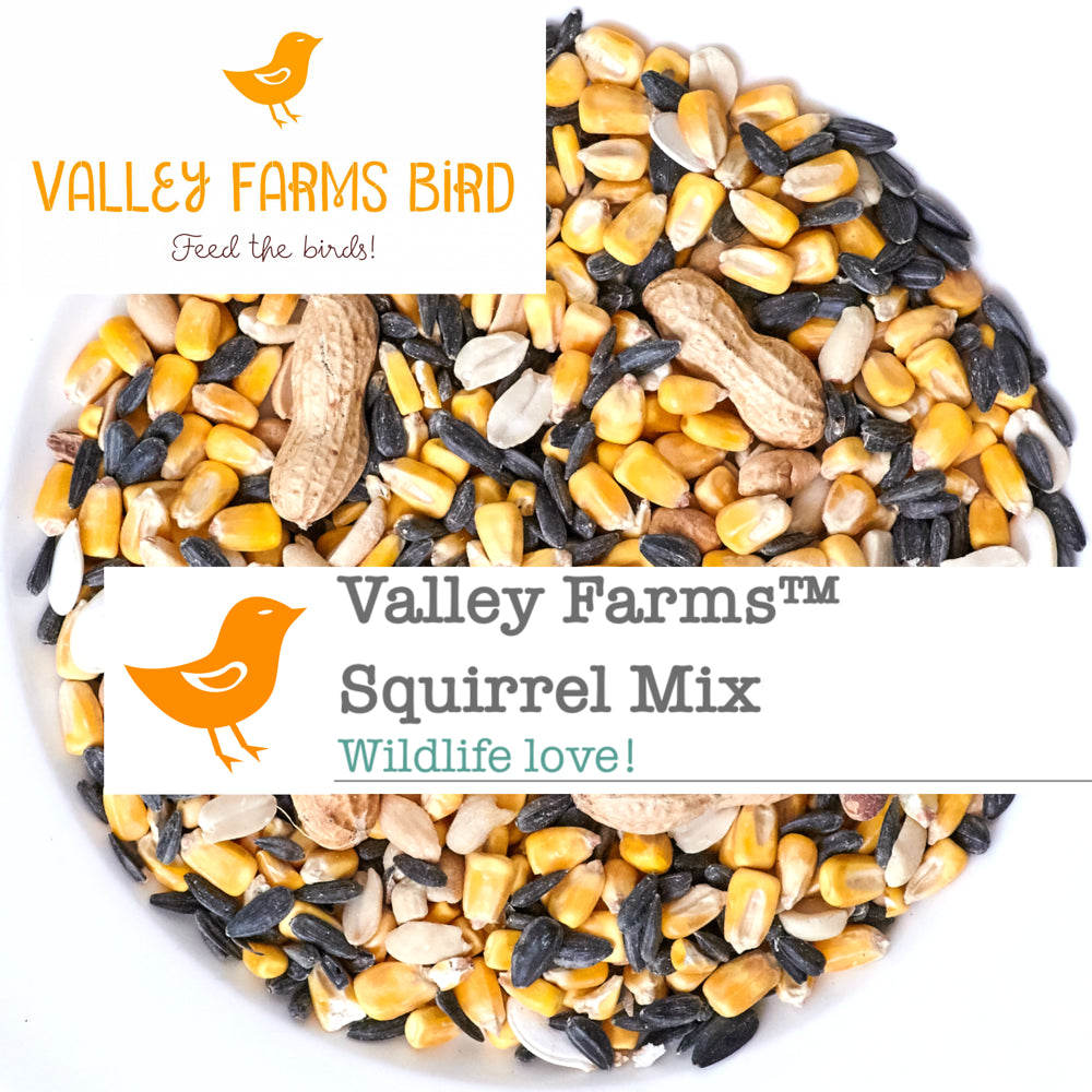 Valley Farms Squirrel & Wildlife Mix Wild Bird Food Animals & Pet Supplies > Pet Supplies > Bird Supplies > Bird Food Valley Farms   