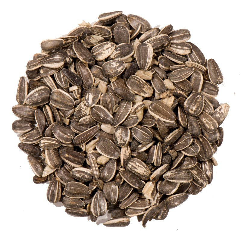 Nature'S Nuts Premium Assorted Species Striped Sunflower Seed Wild Bird Food 16 Lb Animals & Pet Supplies > Pet Supplies > Bird Supplies > Bird Food Chuckanut Products Inc   