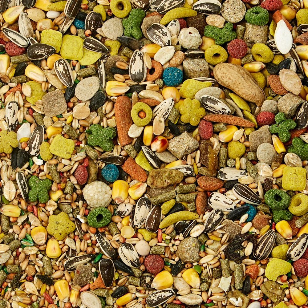 Kaytee Fiesta Mouse and Rat Food 2 Lb Animals & Pet Supplies > Pet Supplies > Small Animal Supplies > Small Animal Food Central Garden and Pet   