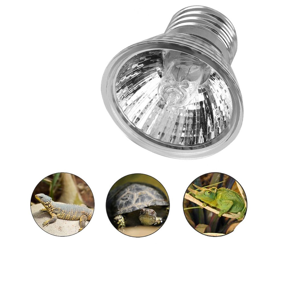 Pet Enjoy 25/50/75W Sun Light,Reptile Heat Lamp,Uva + UVB Full Spectrum Sun Lamp Sunbathe Heat Lamp Bulb Light for Lizard Reptiles Amphibians Animals & Pet Supplies > Pet Supplies > Reptile & Amphibian Supplies > Reptile & Amphibian Habitat Heating & Lighting Pet Enjoy 25w  