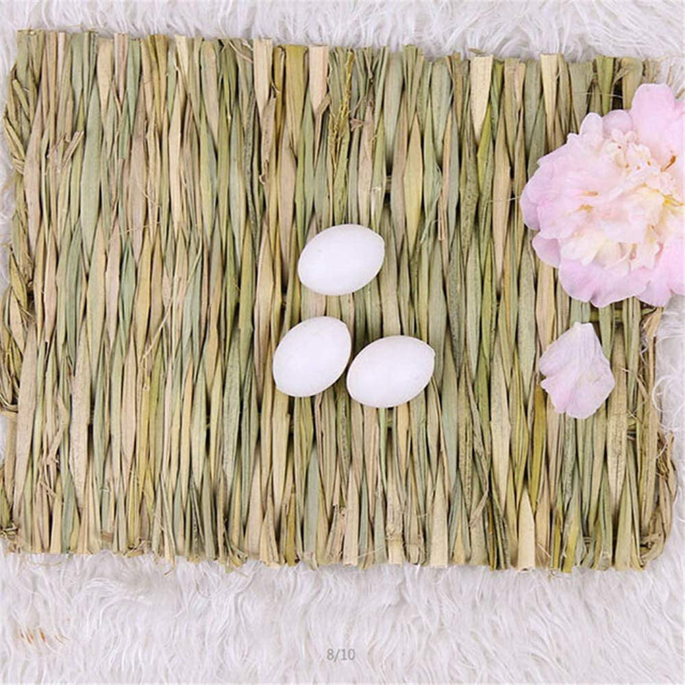 Grass Mat Woven Bed Mat for Small Animal Bunny Bedding Nest Chew Toy Bed Play Toy for Guinea Pig Parrot Rabbit Bunny Hamster Rat(Pack of 3) (3 Grass Mats) Animals & Pet Supplies > Pet Supplies > Small Animal Supplies > Small Animal Bedding Rykwurde   