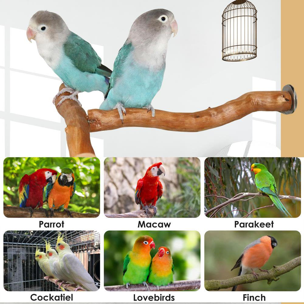 Catinbow Bird Play Standbird Perches for Parrots Multi-Branch Birds Play Training Stand Natural Wood Perch Parakeet Toys for Bird Cage Accessories Very Well Animals & Pet Supplies > Pet Supplies > Bird Supplies > Bird Cage Accessories Catinbow   