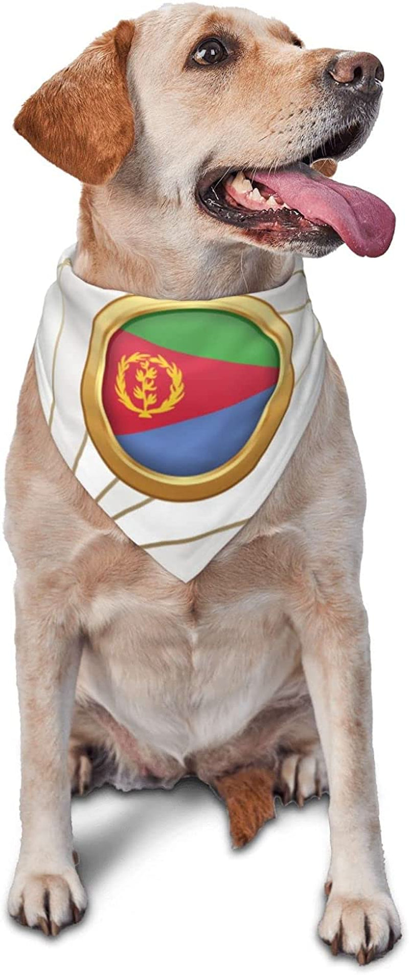 Golden Disc Eritrea Flag Pet Dog and Cat Decorative Triangle Scarf,Dog Bandana,Breathable and Stain Resistant. Animals & Pet Supplies > Pet Supplies > Dog Supplies > Dog Apparel ZALTAS   