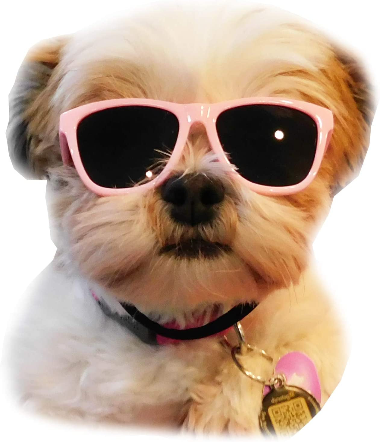 G014 Dog Pet 80S Sunglasses Goggles for Small Dogs up to 15Lbs (Pink) Animals & Pet Supplies > Pet Supplies > Dog Supplies > Dog Apparel Style Vault Pink  