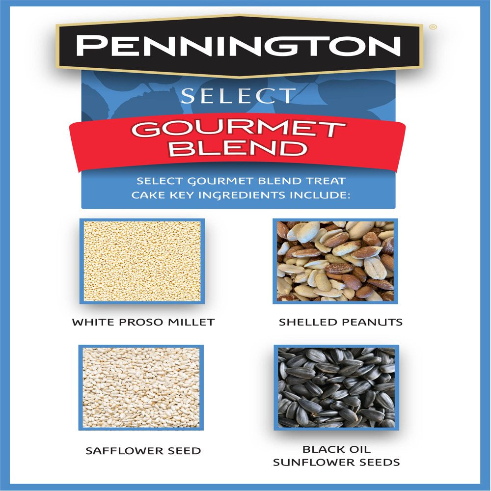 Pennington Premium Gourmet Wild Bird Seed Cake, 2 Lb. Animals & Pet Supplies > Pet Supplies > Bird Supplies > Bird Food CENTRAL GARDEN & PET COMPANY   